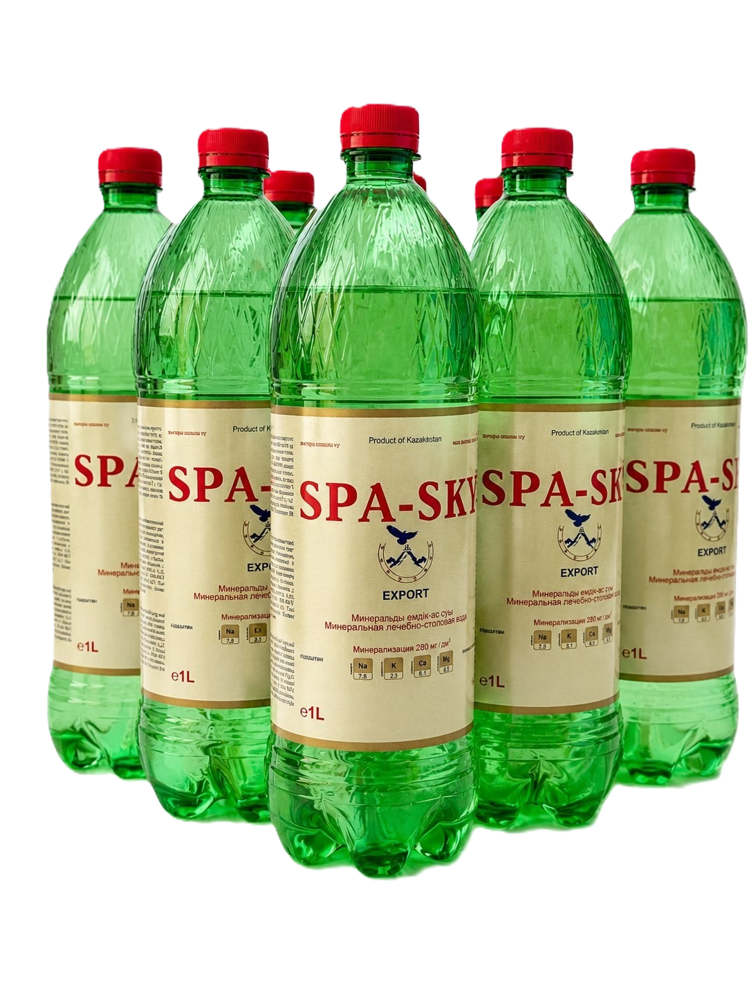 SPA-SKY упаковка 9×1L